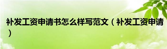 补发工资申请书怎么样写范文（补发工资申请）