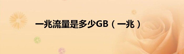 一兆流量是多少GB（一兆）