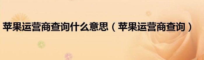苹果运营商查询什么意思（苹果运营商查询）