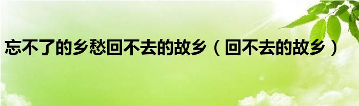 忘不了的乡愁回不去的故乡（回不去的故乡）