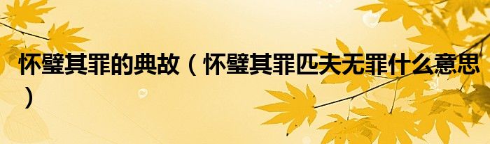 怀璧其罪的典故（怀璧其罪匹夫无罪什么意思）