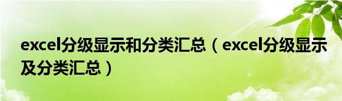 excel分级显示和分类汇总（excel分级显示及分类汇总）