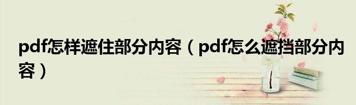 pdf怎样遮住部分内容（pdf怎么遮挡部分内容）