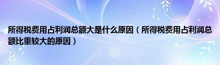 所得税费用占利润总额大是什么原因（所得税费用占利润总额比重较大的原因）