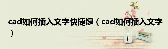 cad如何插入文字快捷键（cad如何插入文字）
