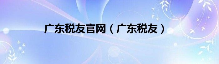 广东税友官网（广东税友）