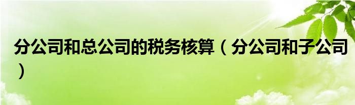 分公司和总公司的税务核算（分公司和子公司）