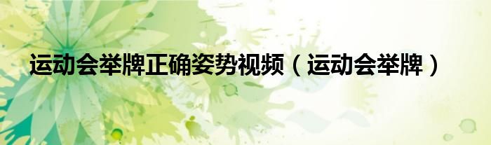 运动会举牌正确姿势视频（运动会举牌）