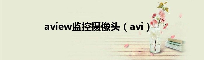 aview监控摄像头（avi）