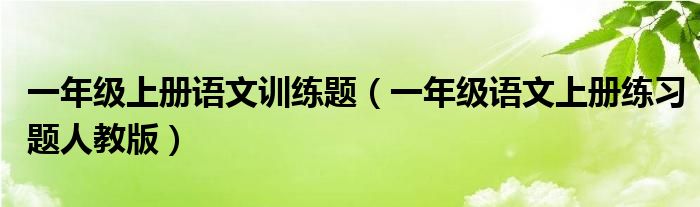 一年级上册语文训练题（一年级语文上册练习题人教版）