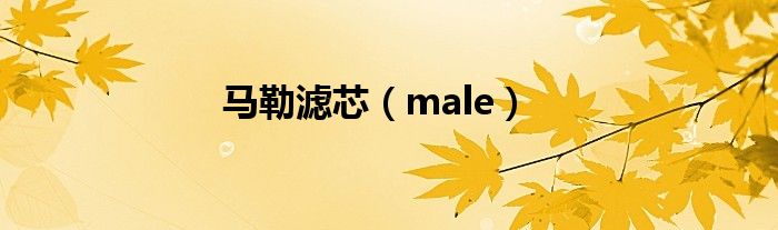马勒滤芯（male）
