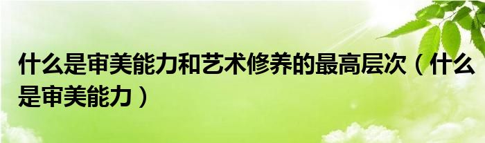 什么是审美能力和艺术修养的最高层次（什么是审美能力）