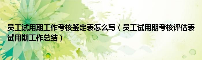 员工试用期工作考核鉴定表怎么写（员工试用期考核评估表试用期工作总结）