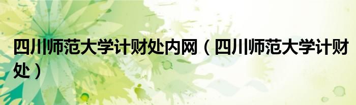四川师范大学计财处内网（四川师范大学计财处）
