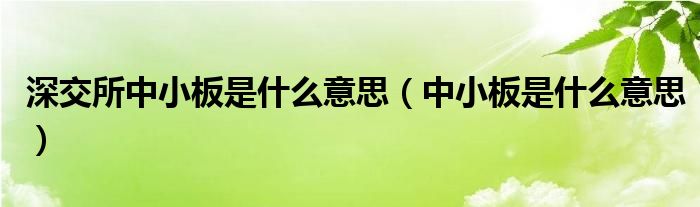 深交所中小板是什么意思（中小板是什么意思）