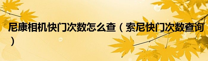尼康相机快门次数怎么查（索尼快门次数查询）