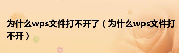 为什么wps文件打不开了（为什么wps文件打不开）