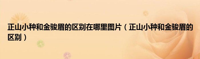 正山小种和金骏眉的区别在哪里图片（正山小种和金骏眉的区别）