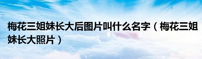 梅花三姐妹长大后图片叫什么名字（梅花三姐妹长大照片）