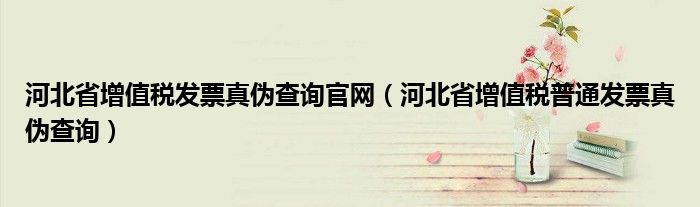 河北省增值税发票真伪查询官网（河北省增值税普通发票真伪查询）