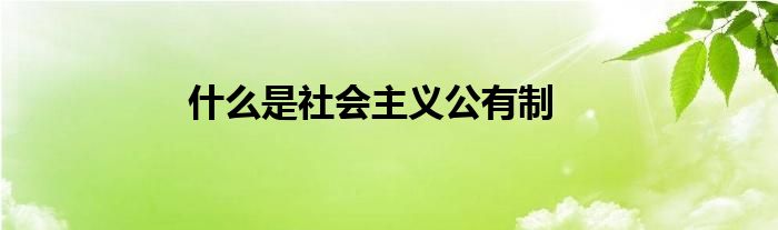 什么是社会主义公有制