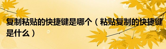 复制粘贴的快捷键是哪个（粘贴复制的快捷键是什么）