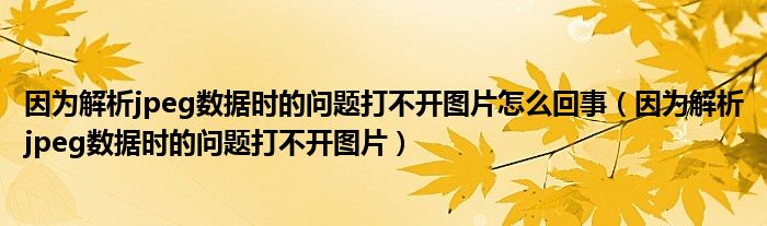 因为解析jpeg数据时的问题打不开图片怎么回事（因为解析jpeg数据时的问题打不开图片）
