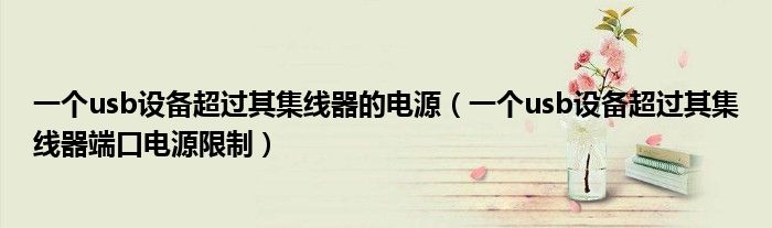 一个usb设备超过其集线器的电源（一个usb设备超过其集线器端口电源限制）