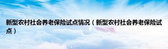 新型农村社会养老保险试点情况（新型农村社会养老保险试点）