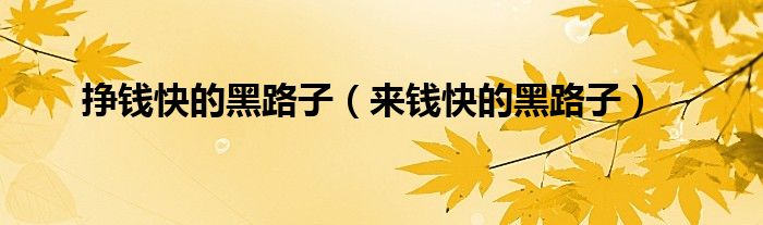 挣钱快的黑路子（来钱快的黑路子）