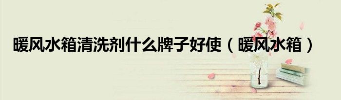 暖风水箱清洗剂什么牌子好使（暖风水箱）