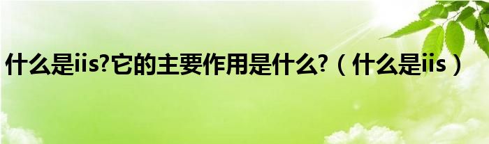 什么是iis?它的主要作用是什么?（什么是iis）