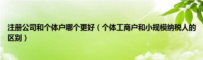 注册公司和个体户哪个更好（个体工商户和小规模纳税人的区别）