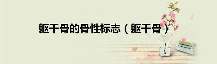 躯干骨的骨性标志（躯干骨）