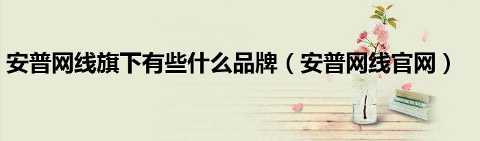 安普网线旗下有些什么品牌（安普网线官网）
