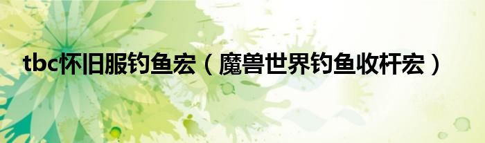 tbc怀旧服钓鱼宏（魔兽世界钓鱼收杆宏）