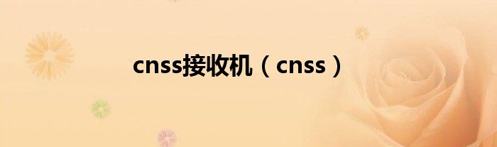 cnss接收机（cnss）
