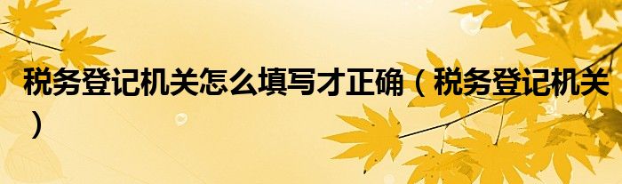 税务登记机关怎么填写才正确（税务登记机关）