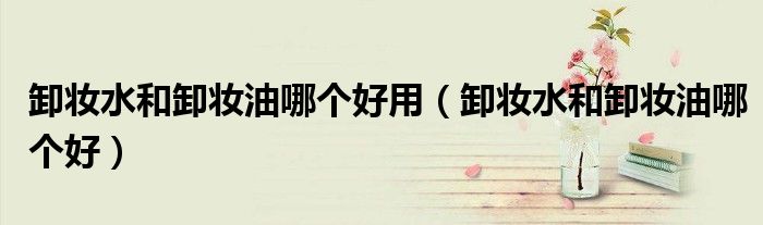 卸妆水和卸妆油哪个好用（卸妆水和卸妆油哪个好）