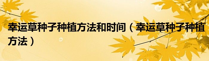 幸运草种子种植方法和时间（幸运草种子种植方法）
