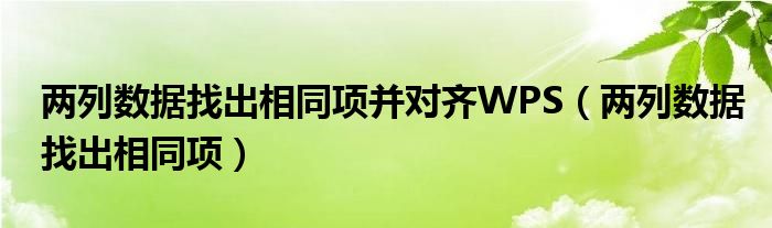 两列数据找出相同项并对齐WPS（两列数据找出相同项）