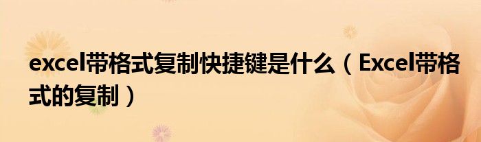excel带格式复制快捷键是什么（Excel带格式的复制）
