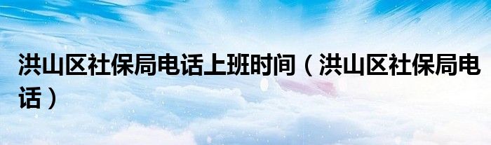 洪山区社保局电话上班时间（洪山区社保局电话）