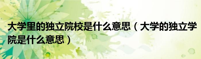 大学里的独立院校是什么意思（大学的独立学院是什么意思）