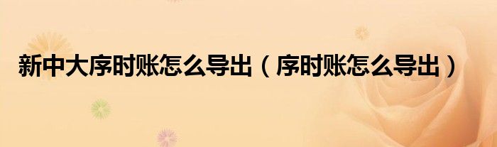 新中大序时账怎么导出（序时账怎么导出）
