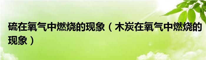 硫在氧气中燃烧的现象（木炭在氧气中燃烧的现象）