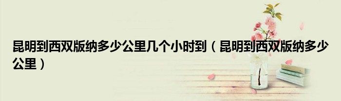 昆明到西双版纳多少公里几个小时到（昆明到西双版纳多少公里）