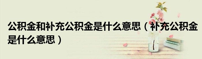 公积金和补充公积金是什么意思（补充公积金是什么意思）