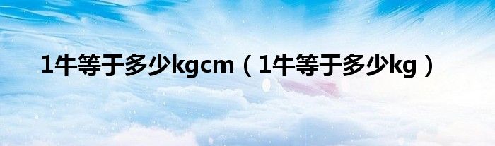 1牛等于多少kgcm（1牛等于多少kg）