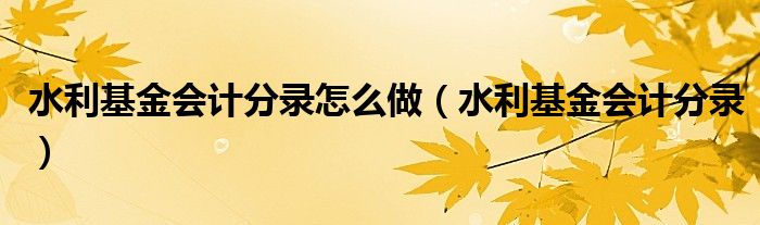 水利基金会计分录怎么做（水利基金会计分录）